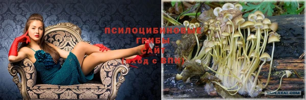 первитин Надым