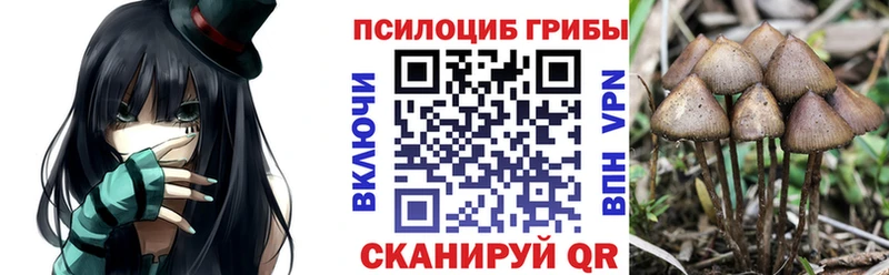 Галлюциногенные грибы Psilocybine cubensis Нестеровская