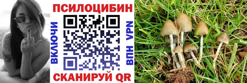 Купить  Нестеровская  Псилоцибиновые грибы мицелий 